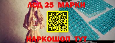 гидропоника Гатчина
