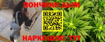 гидропоника Гатчина