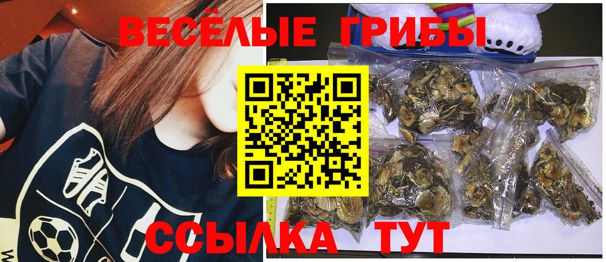 Галлюциногенные грибы Cubensis  Вход с VPN  Псилоцибиновые грибы Cubensis  Лиски 